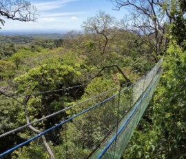 Stunning Costa Rica landscape with rain forest, beaches, wildlife, and tropical travel destinations.