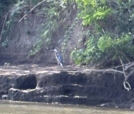 Stunning Costa Rica landscape with rain forest, beaches, wildlife, and tropical travel destinations.